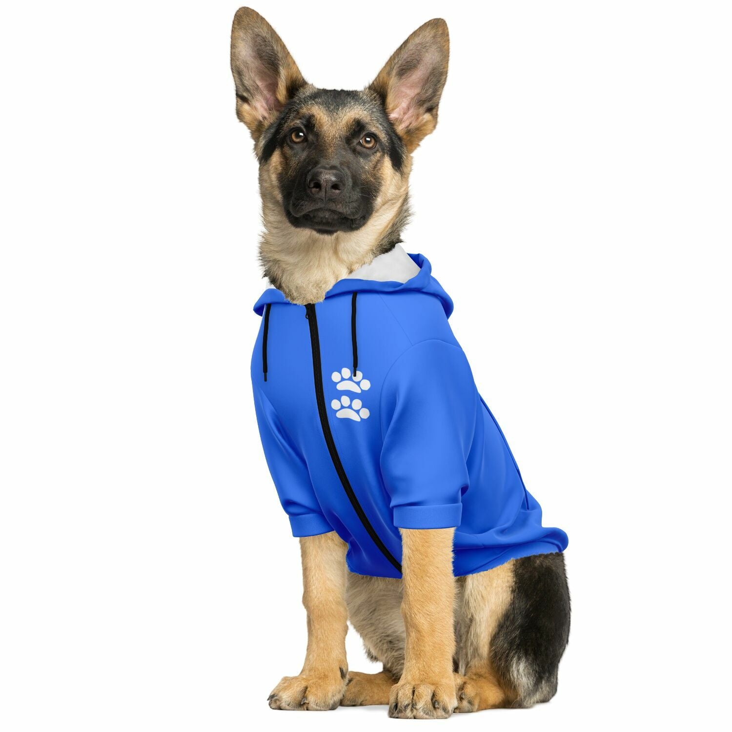 Dog wearing a Paw Harbour hoodie